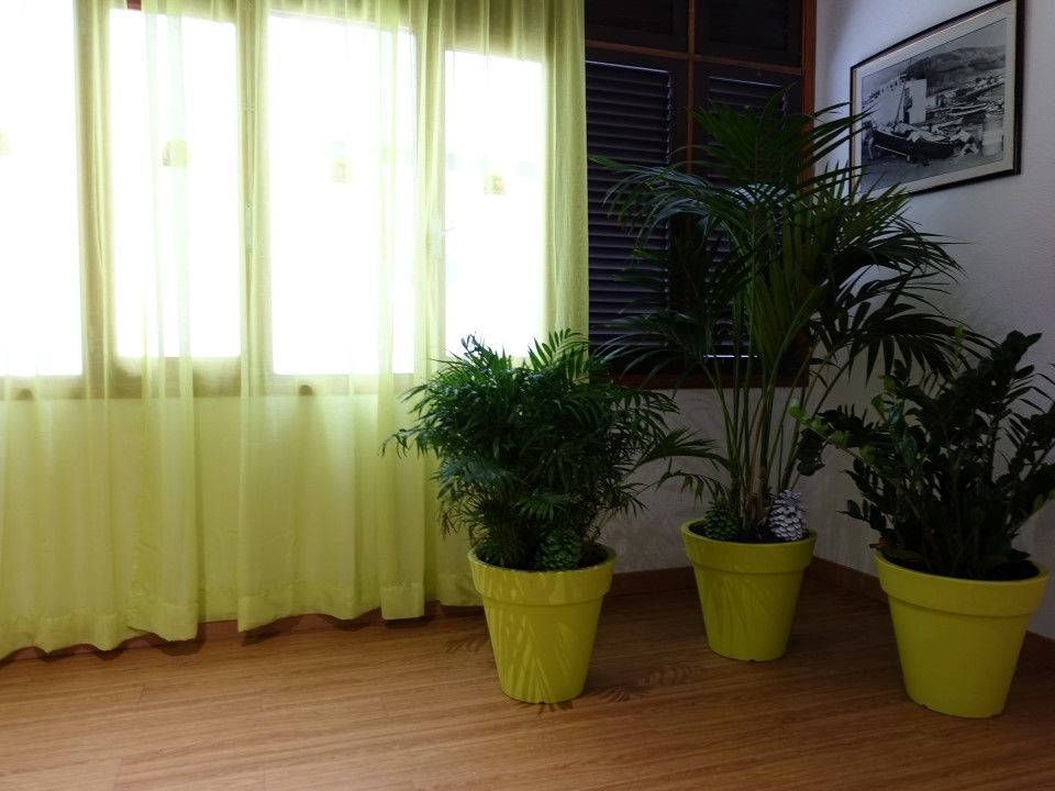 Andrea's Hotel Los Cristianos (Tenerife)